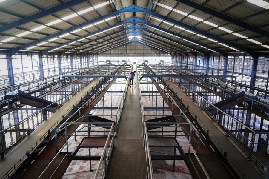 Kelangkaan Kelapa Berlanjut, Terpaksa PT Pulau Sambu di Guntung Lakukan Langkah ini