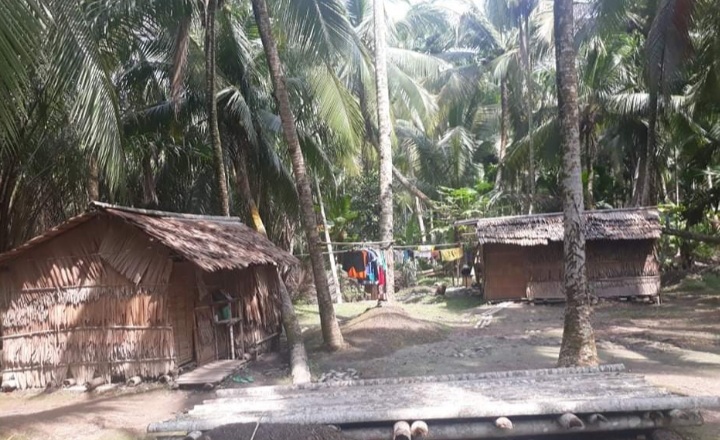 Kasihan, Rumah Hanya Berdinding Atap, Warga Inhil Ini Tak Dapat Bantuan Disaat Corona Melanda Kasihan, Rumah Hanya Berdinding Atap, Warga Inhil Ini Tak Dapat Bantuan Disaat Corona Melanda