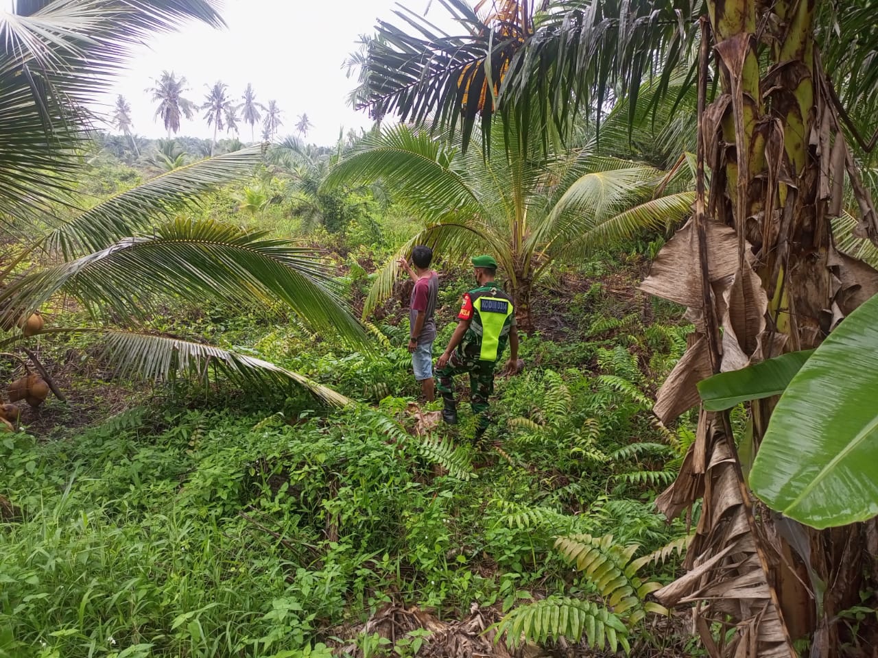Babinsa Koramil 04/Kuindra Bersama MPA Rutin Lakukan Patroli Karhutla