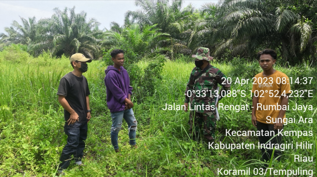 Babinsa 03/Tpl Bersama Warga Patroli Karhutla : Alhamdulillah Tidak Ditemukan Titik Api