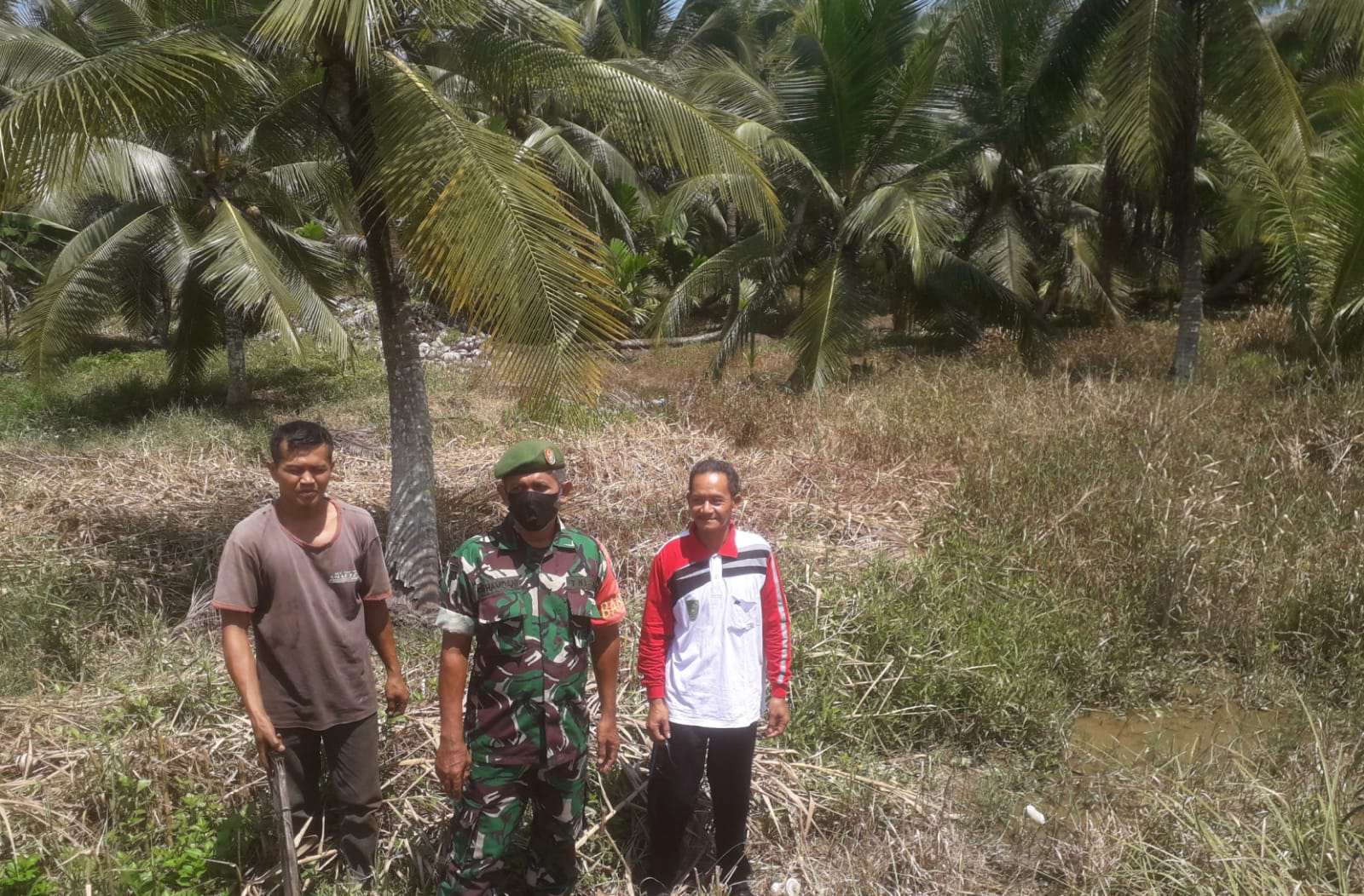 Sertu Eri Hamdani Cegah Karlahut Bersama Masyarakat Petani Kelapa