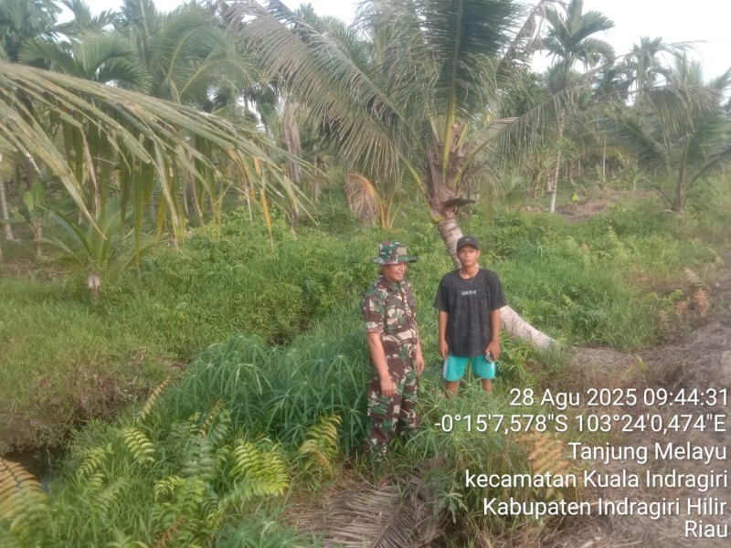 Babinsa Koramil 04/Kuindra Laksanakan Patroli dan Sosialisasi Karhutla Secara Rutin di Tanjung Melayu