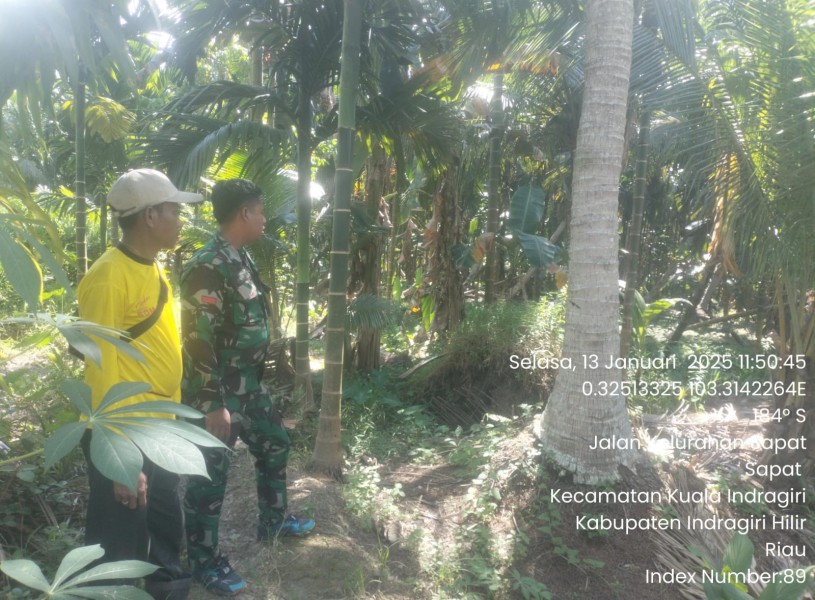 Babinsa Koramil 04/Kuindra Laksanakan Patroli Tapal Batas di Kelurahan Sapat, Tidak Ada Titik Api dan Asap