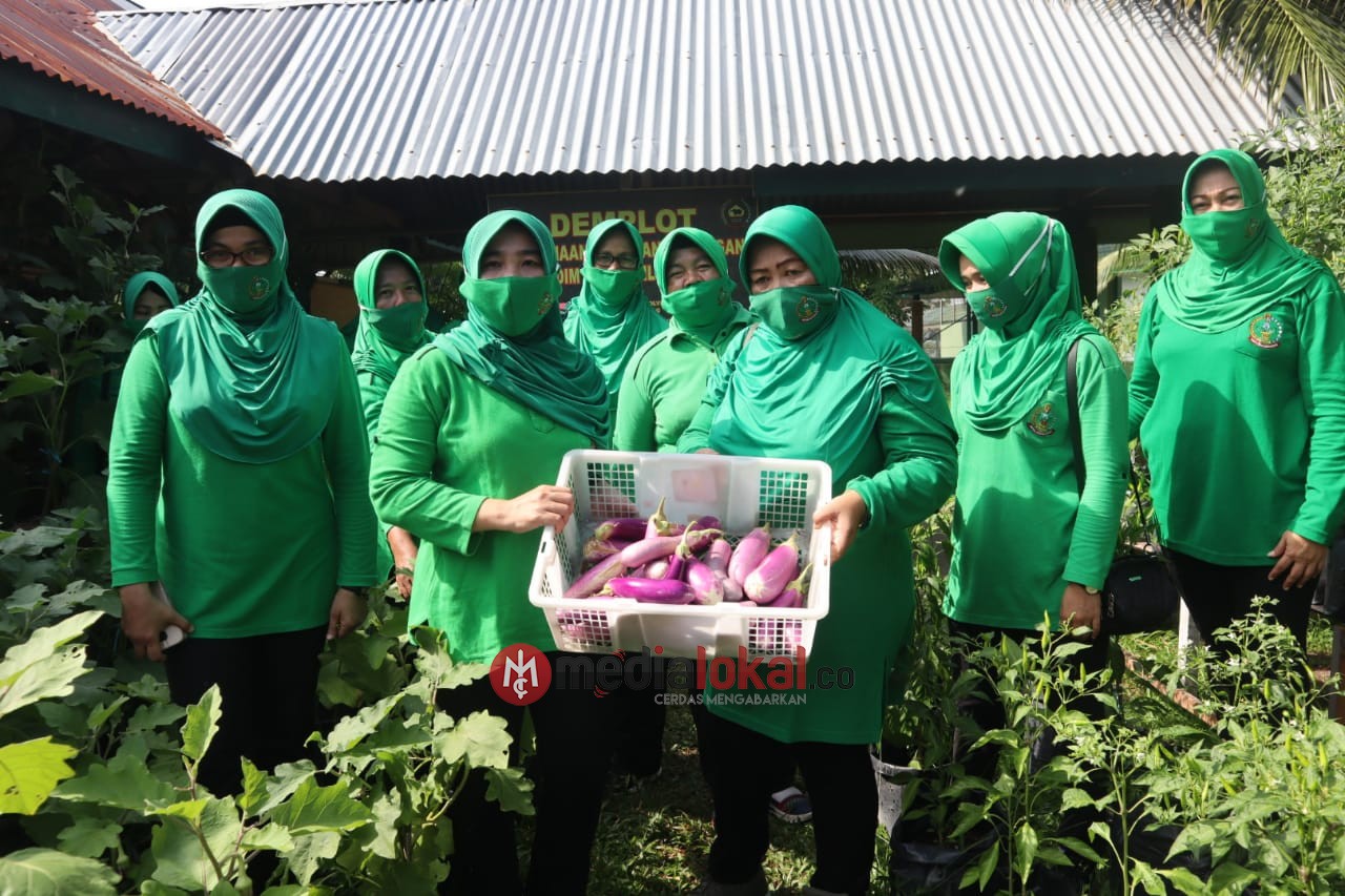 Jelang Idul Adha, Persit Kartika Chandra Kirana LIV Kodim 0314/Inhil Panen Demplot Cabe dan Terong