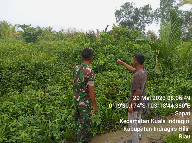 Babinsa Koramil 04/Kuindra Cegah Karhutla Demi Lingkungan Sekitar