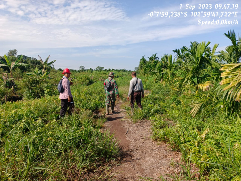 Babinsa 05/Gas Kopda Chandra Manto Lakukan Patroli Hutan Konsesi Mitigasi
