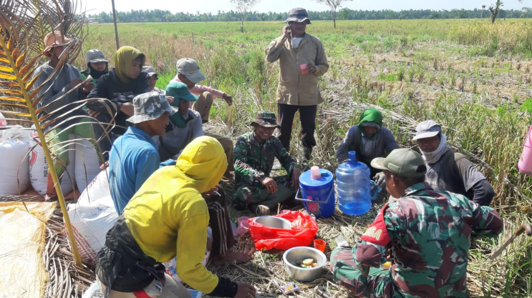 Babinsa Serda Ramli Dampingi Masyarakat Dalam Lakukan Hanpangan di Binaan