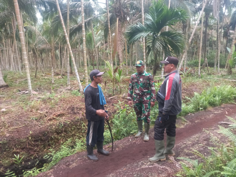 Babinsa 05/Gas Pratu Sandi Wahyudi Gencar Laksanakan Patroli Karlahut di Desa Binaan