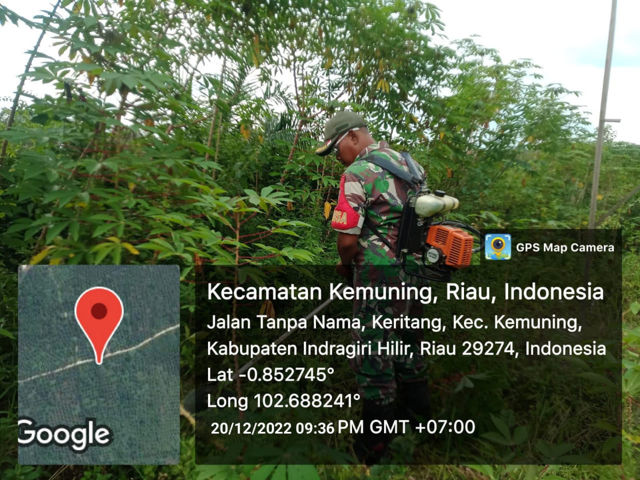 Melihat Perkembangan Gulma dan Tanaman Liar Bersama Koramil 09/Kemuning