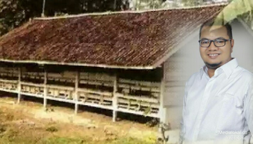 Kemuning di 'Serang' Lalat, Ketua Komisi III DPRD Inhil Pinta Dinas Terkait Segera Tinjau Lokasi