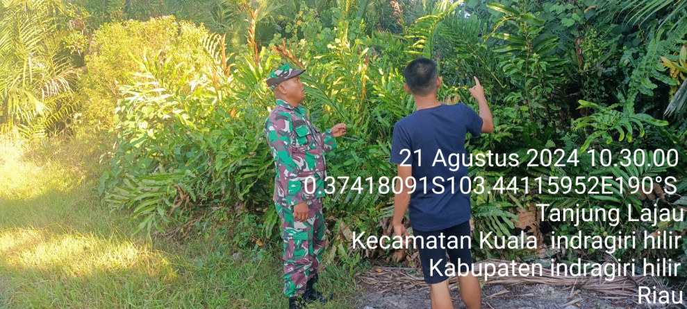 Pencegahan Karhutla Oleh Babinsa Koramil 04/Kuindra Terus Dilakukan Demi Kenyamanan di Lingkungan