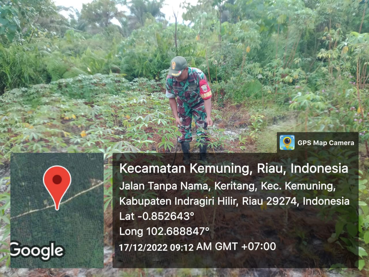 Koramil 09/Kemuning Melihat Perkembangan Gulma di Wilayah