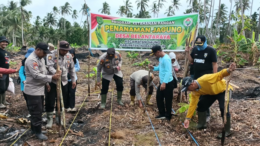 Terus Bersinergi, Pemerintah Desa Belantaraya dan Polsek Gaung Kerja Sama Dukung Program Swasembada Pangan Nasional