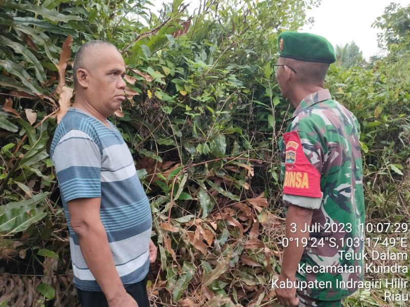 Cegah Kebakaran Babinsa Koramil 04/Kuindra Terus Pantau Titik Api
