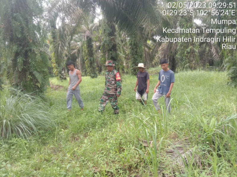 Cuaca Panas Terik, Babinsa Koramil 03/Tpl Tetap Laksanakan Patroli Di Daerah Rawan Karlahut