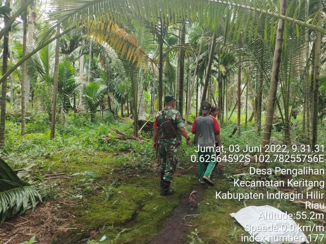 Babinsa Koramil 09/Kemuning Serda Darmadi Cegah Karhutla di Wilayah Binaan