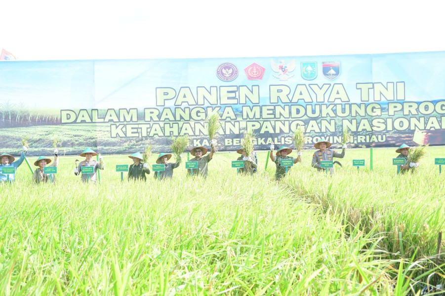 Sinergi Perkuat Ketahanan Pangan, Wabup Bagus Santoso Hadiri Panen Raya TNI di Siak Kecil