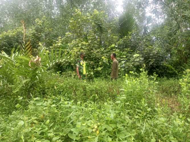 Babinsa Koramil 04/Kuindra Bersama Petani Turun Ke Wilayah Untuk Lakukan Patroli