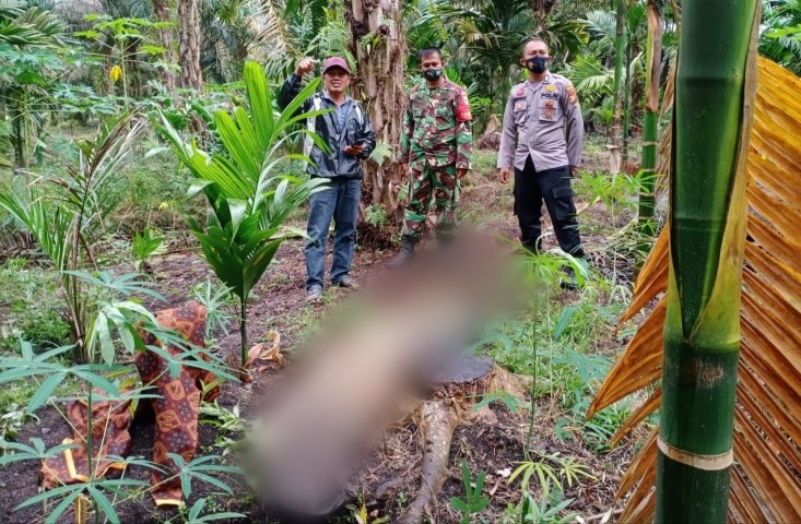 Penemuan Mayat Tanpa Busana di Kempas, Ini Penjelasan Pihak Kepolisian