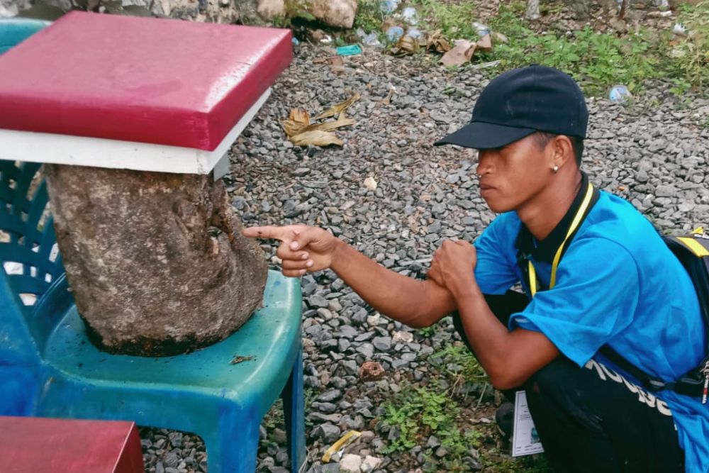 DLHK Riau Latih Warga Batang Gansal Budidaya Lebah Madu Kelulut