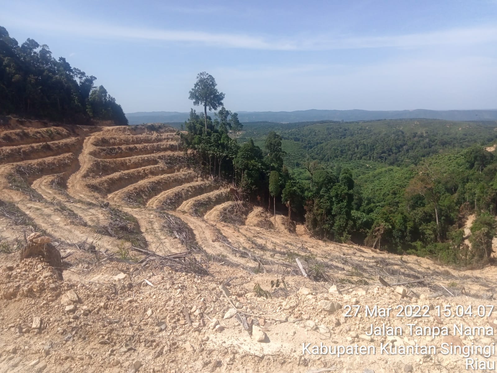 Ngeluh Kekurangan Armada Buat Jaga Hutan, Kepala UPT KPH Kuansing Disemprot Aktifis Ngeluh Kekurangan Armada Buat Jaga Hutan, Kepala UPT KPH Kuansing Disemprot Aktifis