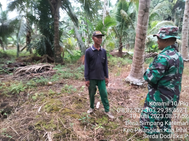 Demi Lingkungan Nyaman, Babinsa Koramil 10/Pelangiran Turun Ke Lapangan Guna Pemantauan Terhadap Lahan dan Hutan