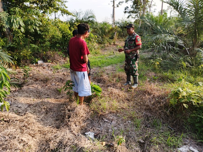 Babinsa Koramil 09/Kmg Tidak Ditemukan Titik Api dan Asap Saat Patroli