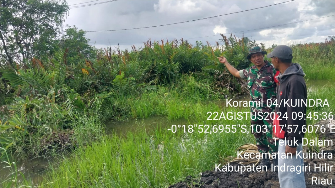 Babinsa Koramil 04/Kuindra Turun Untuk Lakukan Pemantauan Lahan dan Hutan Agar Terhindar Dari Kebakaran