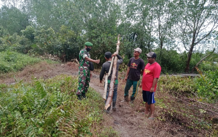 Dalam Mencegah Kebakaran, Babinsa Koramil 04/Kuindra Lakukan Patroli Karhutla