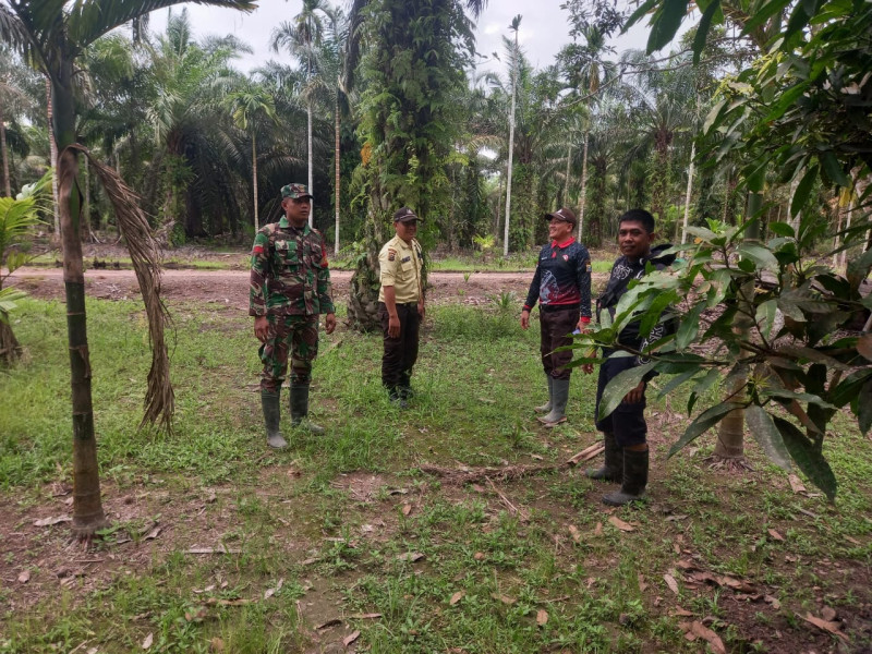Babinsa Koramil 05/Gas Kodim 0314/Inhil Pratu Sandi Wahyudi Gencar Lakukan Patroli Mitigasi Lahan Terbuka