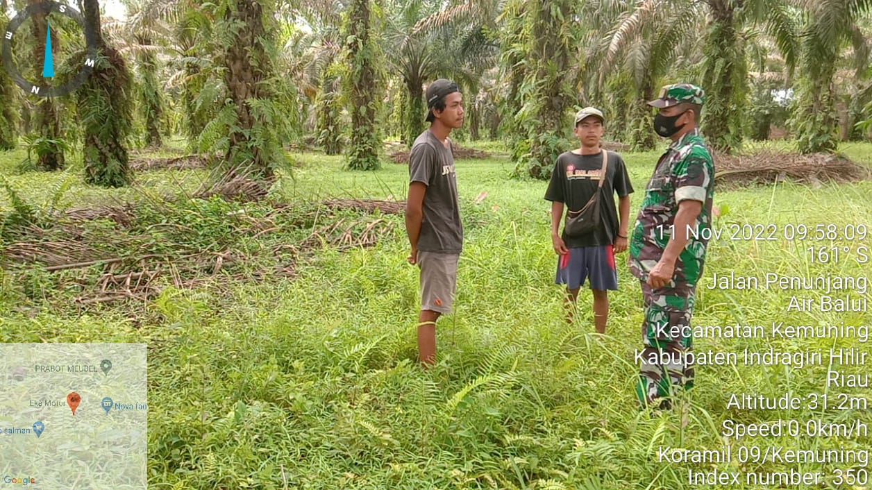 Sosialisasi Lahan dan Hutan Oleh Babinsa Koramil 09/Kemuning