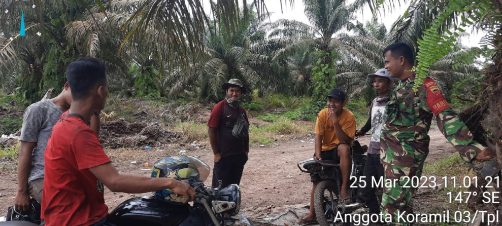 Babinsa 03/Tpl Komsos Dengan Petani Sawit di Desa Binaan