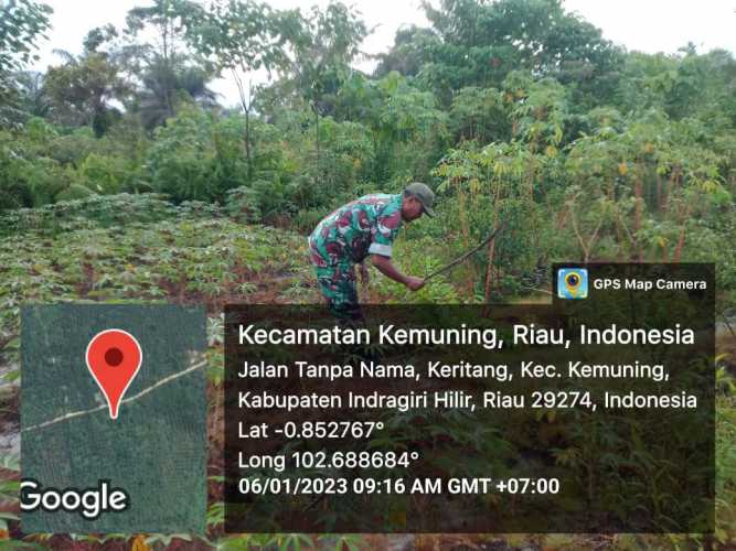 Babinsa Koramil 09/Kemuning Rutin Jaga Ketahanan Pangan