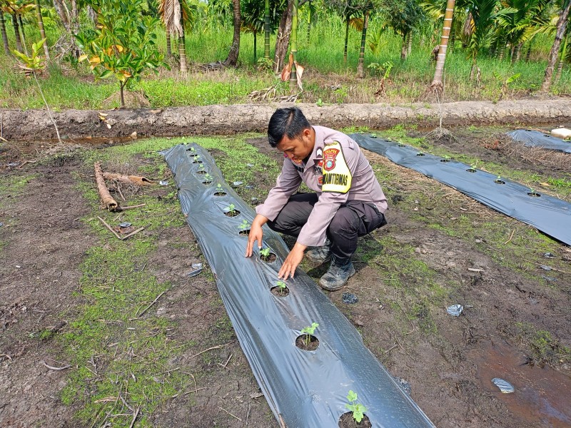 Bhabinkamtibmas Kuala Gaung Pastikan Ketahanan Pangan Warga Berjalan Optimal