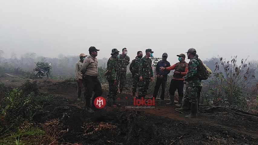 Dandim 0314/Inhil Tinjau Lokasi Karhutla di Kecamatan Batang Tuaka
