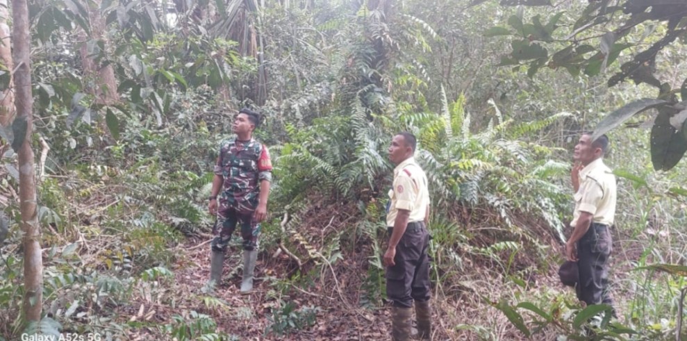 Babinsa Koramil 05/Gas Tak Bosan-bosannya Laksanakan Patroli Karlahut