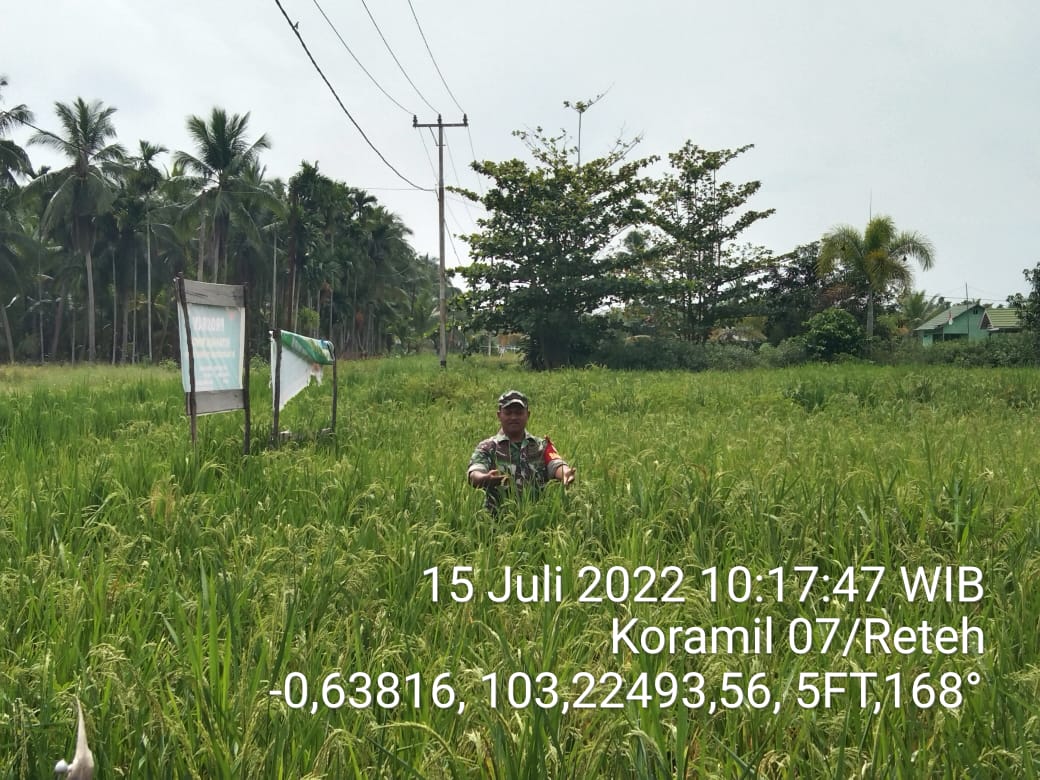 Lakukan Penanaman Bersama Oleh Anggota Koramil 07/Reteh