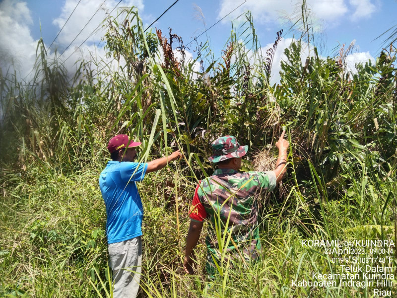 Babinsa Koramil 04/Kuindra Lakukan Patroli Karhutla Bersama Warga
