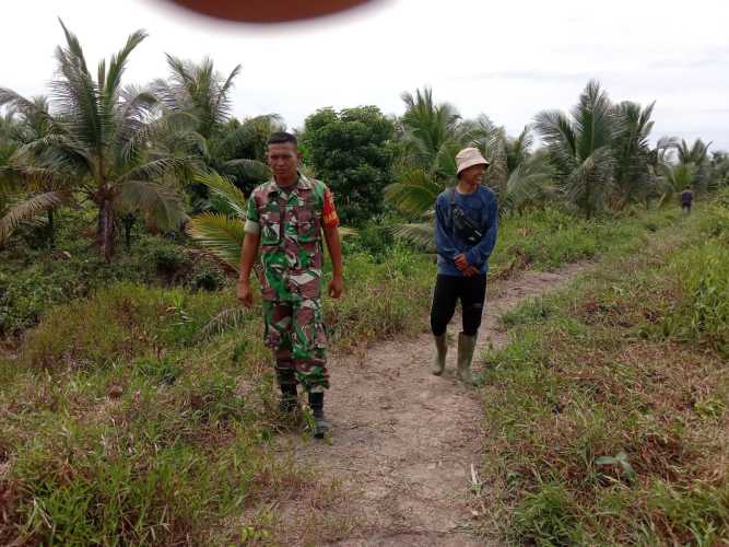 Babinsa Koramil 04/Kuindra Terus Turun Ke Wilayah Adakan Patroli