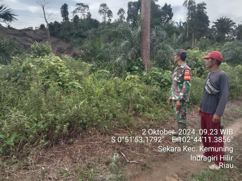 Antisipasi Kebakaran Bersama Babinsa Koramil 09/Kemuning dan Masyarakat Melalui Patroli Karhutla