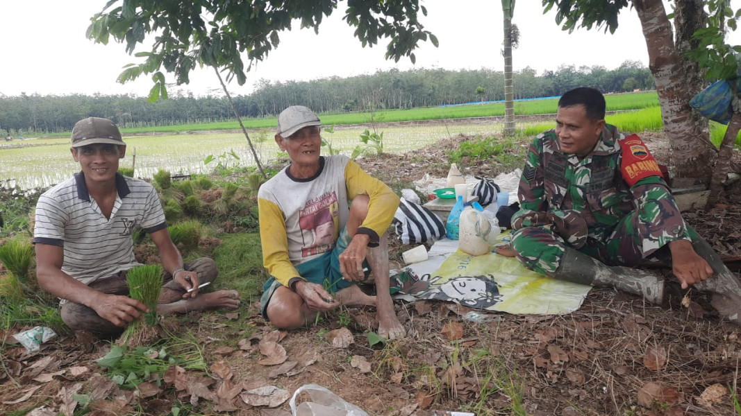 Babinsa Koramil 03/Tpl Bincang Santai Dengan Petani Di Desa Binaan