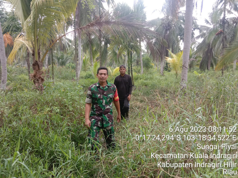 Terus Telusuri Lahan dan Hutan Demi Kenyamanan Lingkungan Bersama Babinsa Koramil 04/Kuindra