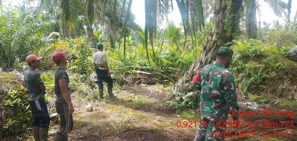 Babinsa 09/Kemuning Rutin Lakukan Patroli Karhutla di Nusantara Jaya