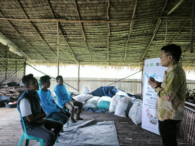 PLN Perkuat Peternak Itik di Desa Pulokerto Lewat Sinergi TJSL dan Pembinaan Teknis PLN Perkuat Peternak Itik di Desa Pulokerto Lewat Sinergi TJSL dan Pembinaan Teknis