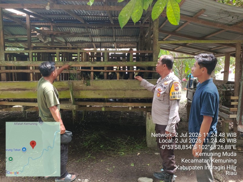 Sinergi Polri dan Peternak Polsek Kemuning Tingkatkan Kualitas Budidaya Kambing untuk Ketahanan Pangan