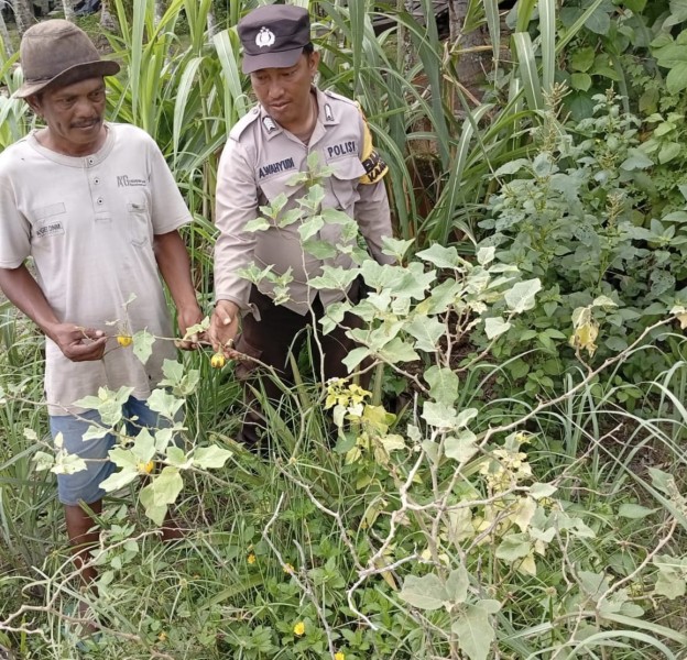Dari Sungai Rukam, Polsek Enok Dorong Swasembada Pangan Lewat Pekarangan