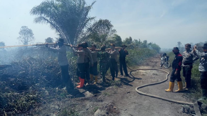 10 Hektar Lahan Terbakar di Rohil, Kasat Lantas Ikut Padamkan Api