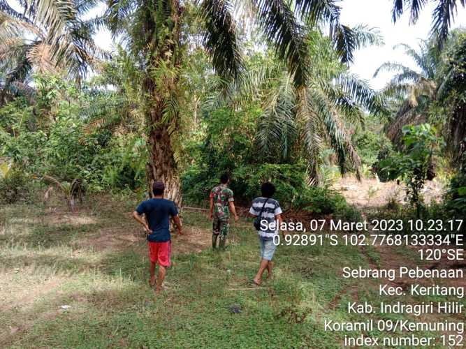Babinsa Koramil 09/Kemuning Cegah Lahan dan Hutan Demi Keamanan Bersama