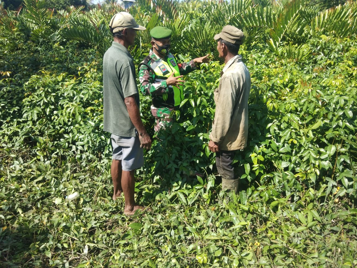 Pelda Doni Akmal Intens Lakukan Patroli Karhutla di Sapat