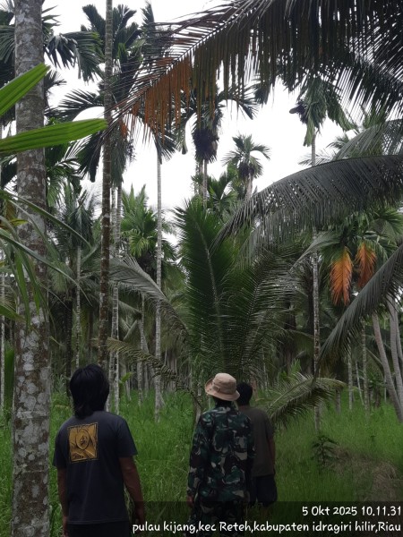 Sinergi Babinsa dan Masyarakat untuk Mencegah Kebakaran Hutan dengan Patroli Tapal Batas